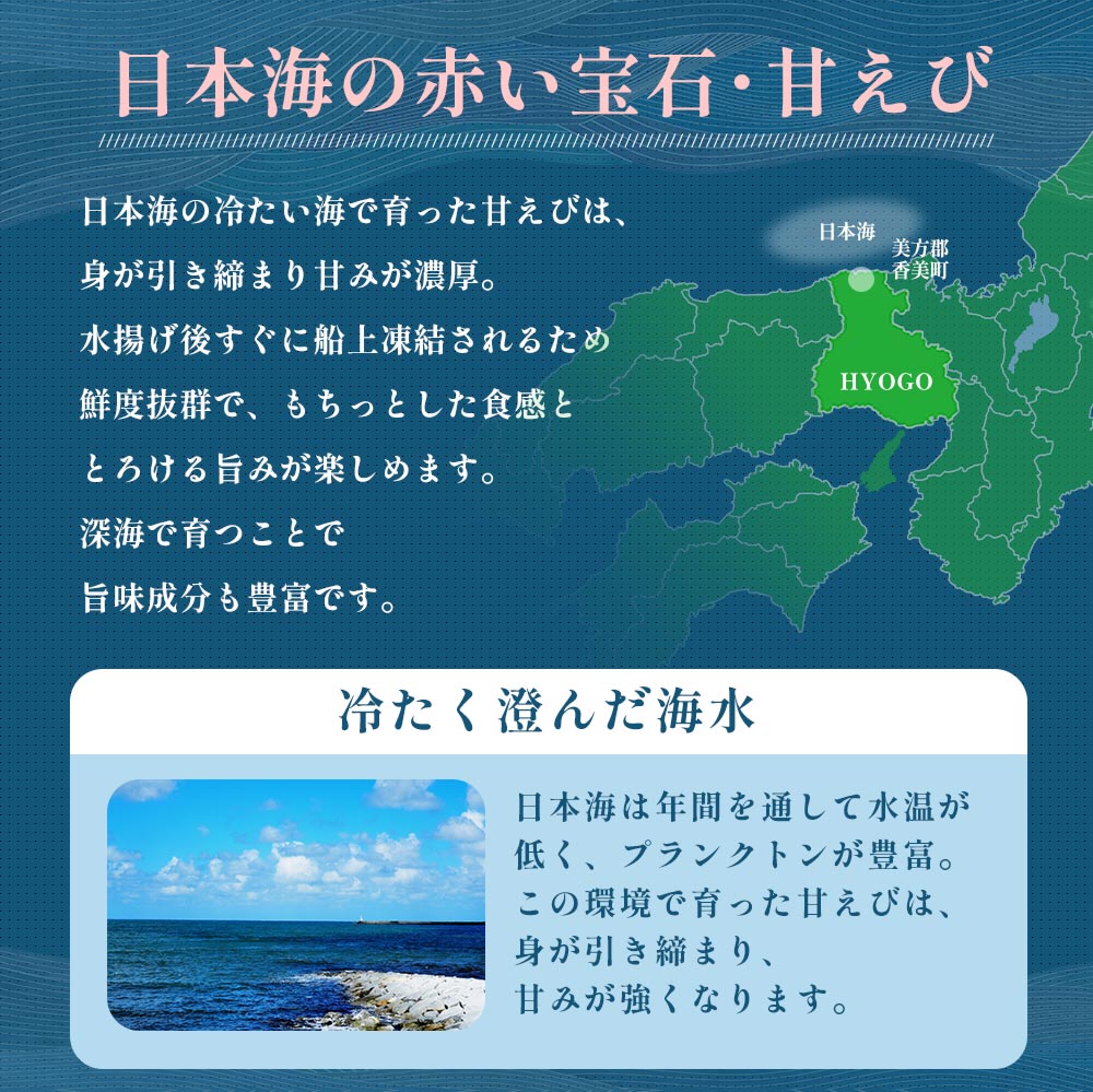 ［冷凍］【兵庫県産】甘えび／大サイズ・30～40尾入り・約700g／ぷりぷり／鮮度抜群／お中元・お歳暮にも！