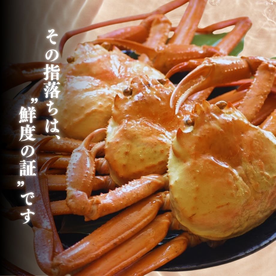 ［冷蔵］【香住ガニ】浜茹で／指落ち／約1kg入（2～3杯）／ふるさとチョイス「カニ部門」全国1位の実績！