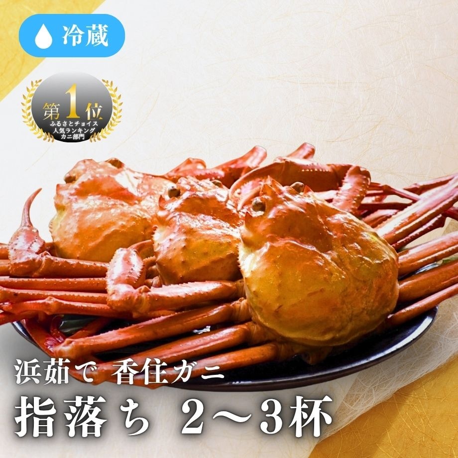 ［冷蔵］【香住ガニ】浜茹で／指落ち／約1kg入（2～3杯）／ふるさとチョイス「カニ部門」全国1位の実績！