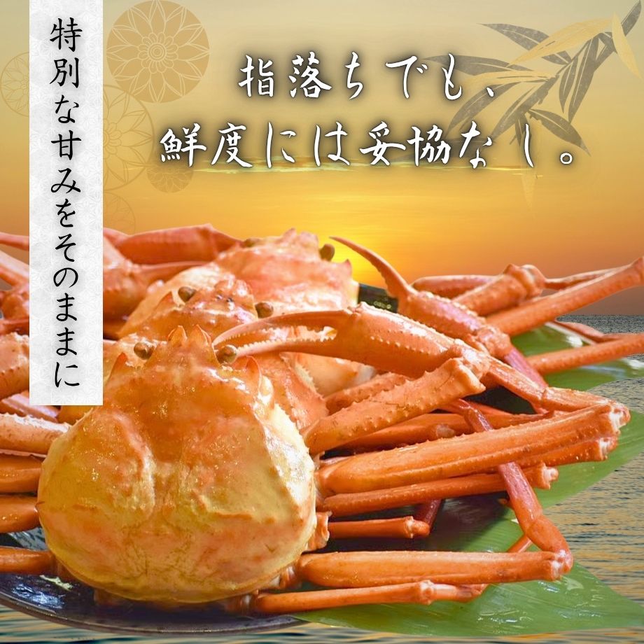 ［冷蔵］【香住ガニ】浜茹で／指落ち／約1kg入（2～3杯）／ふるさとチョイス「カニ部門」全国1位の実績！