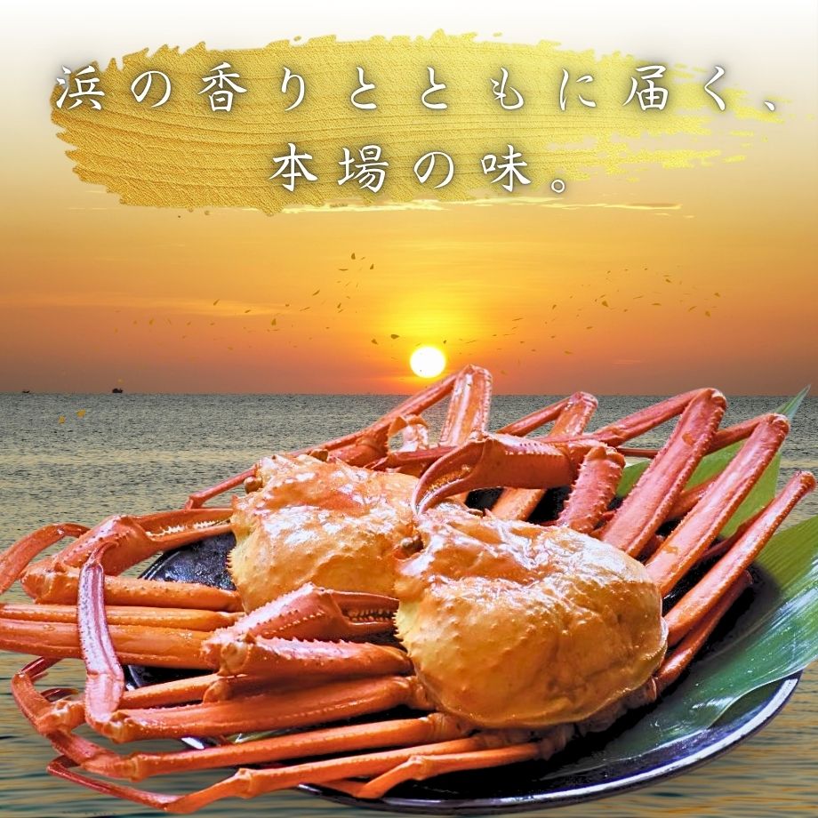 ［冷蔵］【香住ガニ】浜ゆで姿／2杯（500～600g×2）
