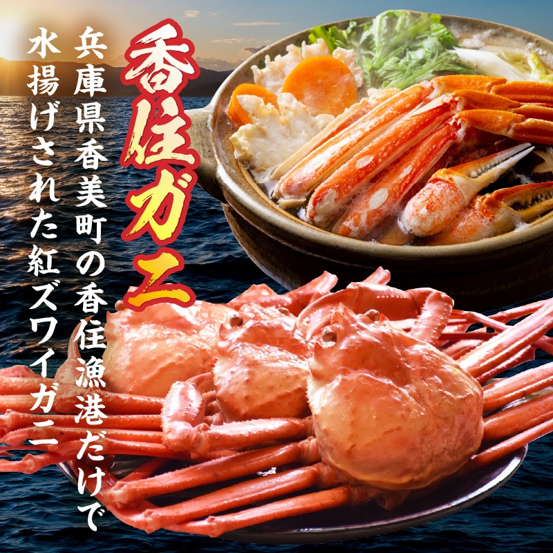 ［冷蔵］【香住ガニ】浜ゆで姿／2杯（500～600g×2）