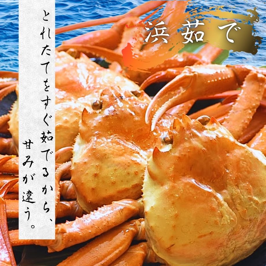 ［冷蔵］【香住ガニ】浜ゆで姿／2杯（500～600g×2）