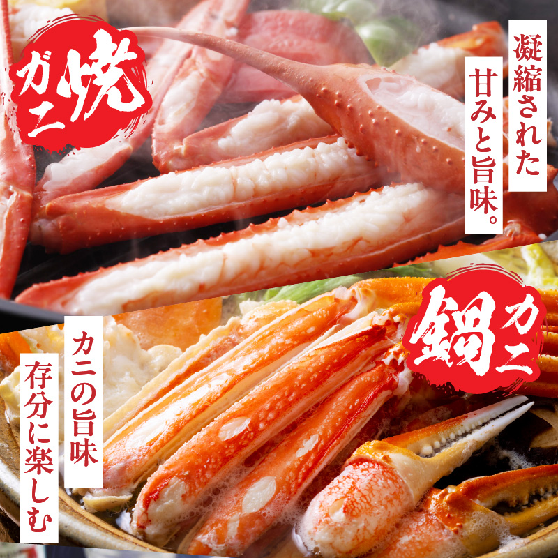 ［冷蔵］【香住ガニ】浜茹で／3杯入り／（500～600g×3）