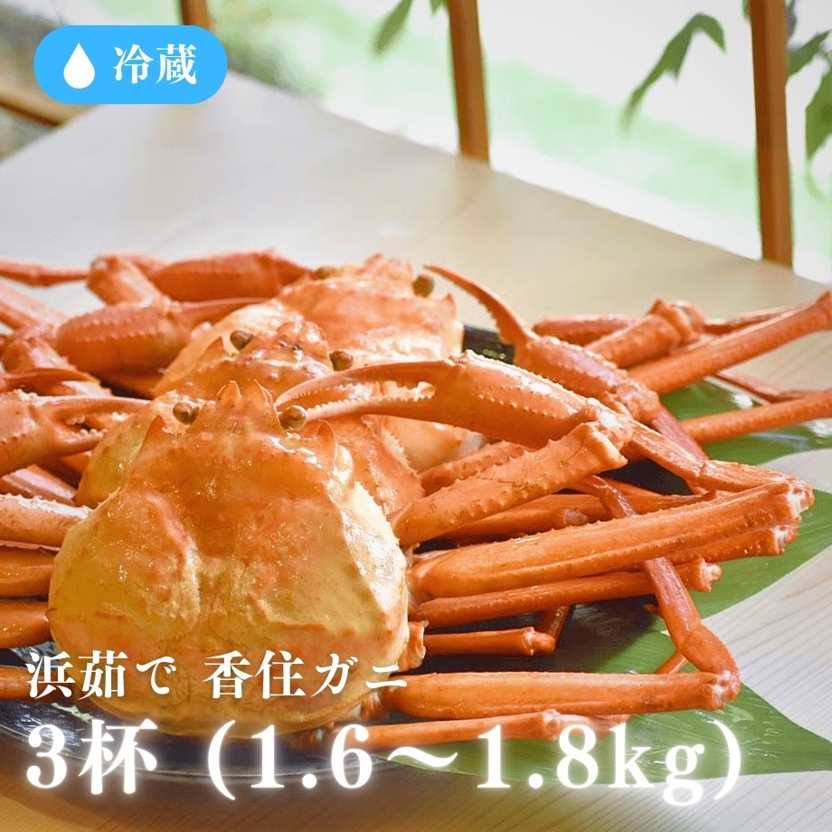 ［冷蔵］【香住ガニ】浜茹で／3杯入り／（500～600g×3）
