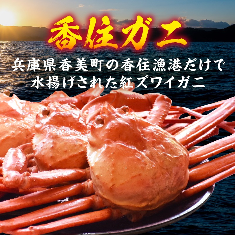 ［冷蔵］【香住ガニ】浜茹で／足ガニ／6～8肩入り・約1kg／鮮度抜群／プロも絶賛！濃厚な甘みと旨み