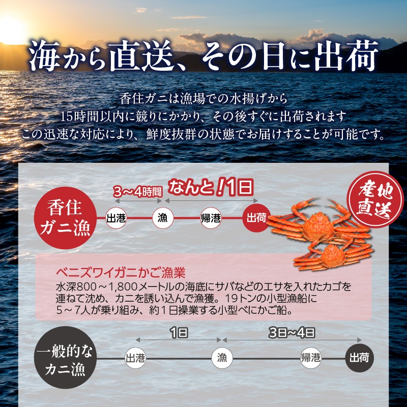 ［冷蔵］【香住ガニ】浜茹で／足ガニ／6～8肩入り・約1kg／鮮度抜群／プロも絶賛！濃厚な甘みと旨み