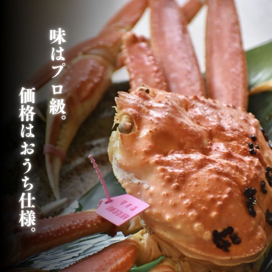 ***【限定20セット送料込】***［冷蔵］浜茹で／訳あり／松葉がに／2杯入／1kg以上
