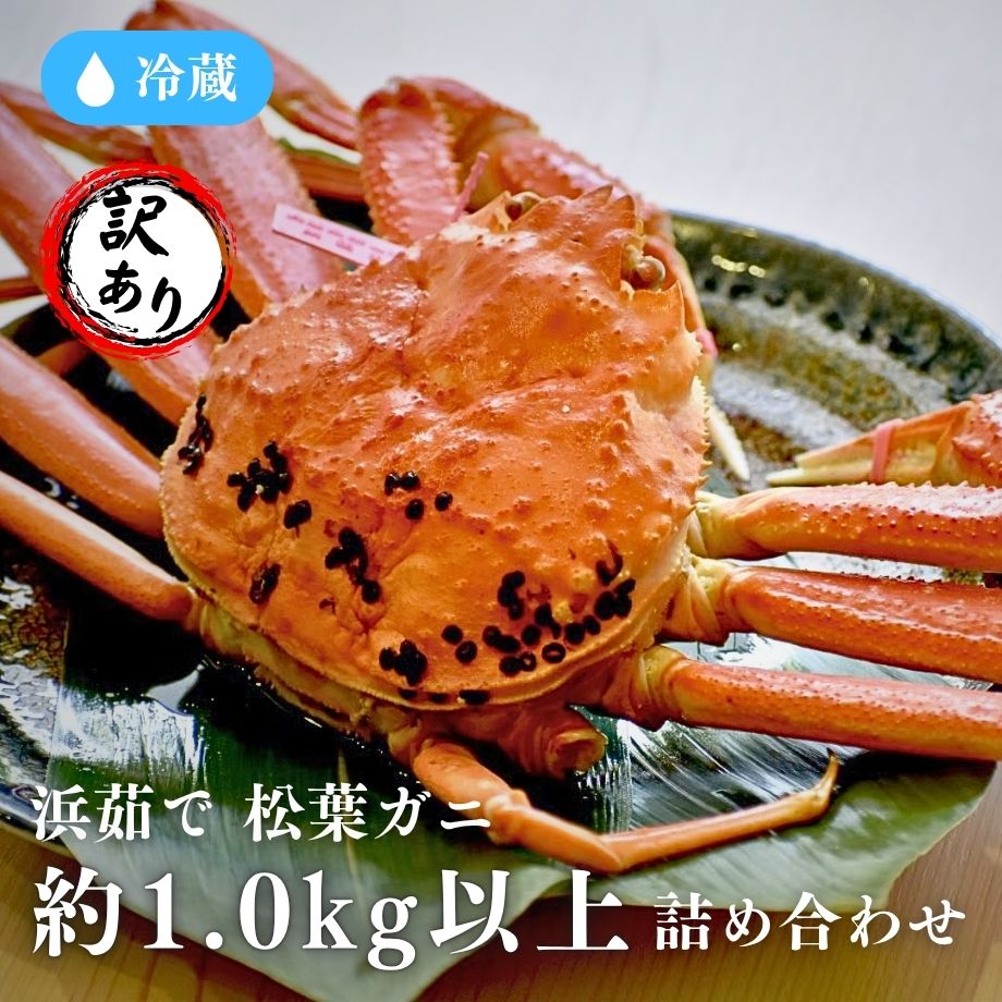 ***【限定20セット送料込】***［冷蔵］浜茹で／訳あり／松葉がに／2杯入／1kg以上