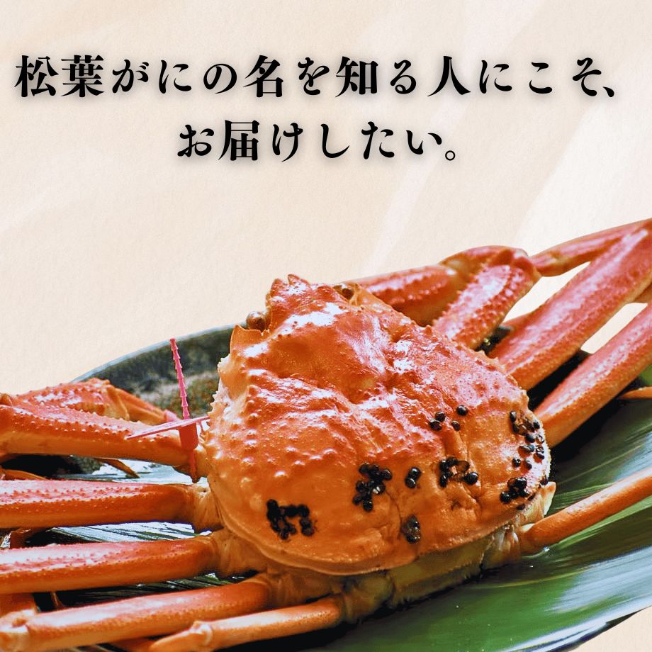 ***【限定20セット送料込】***［冷蔵］浜茹で／訳あり／松葉がに／2杯入／1kg以上