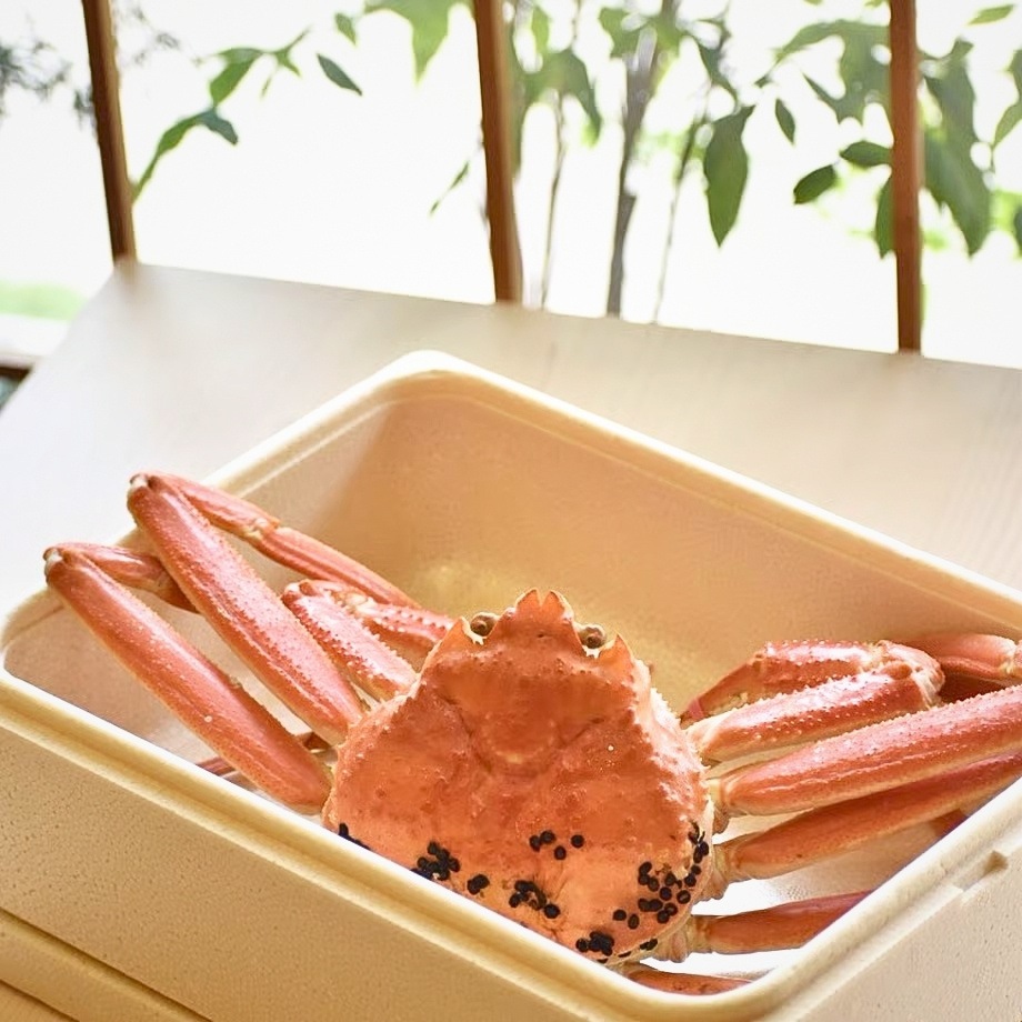 ***【限定20セット送料込】***［冷蔵］浜茹で／訳あり／松葉がに／2杯入／1kg以上