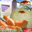 ��2026ǯ����ͽ������� �����������ȥ���� �̳�ƻ�� 2kg�����2�� �Τ����ϡڤ��Ϥ��������Բ�̵���ۡ�2026ǯ7���ܡ���������ꤴ��ʸ���ȯ����