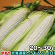 ��2026ǯ����ͽ��ۤȤ�������� ��γ�������� 20��30���塡���̳�ƻ�� �Ȥ����� �櫓���� ��ͭ�� �ڤ��Ϥ��������Բ�̵���� ��2026ǯ8������庢��ꤴ��ʸ���ȯ����