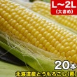 2025ǯͽۤȤ γ L2L20 ̳ƻ Ȥӡ ڤϤԲ̵ 2025ǯ8庢ꤴʸȯ