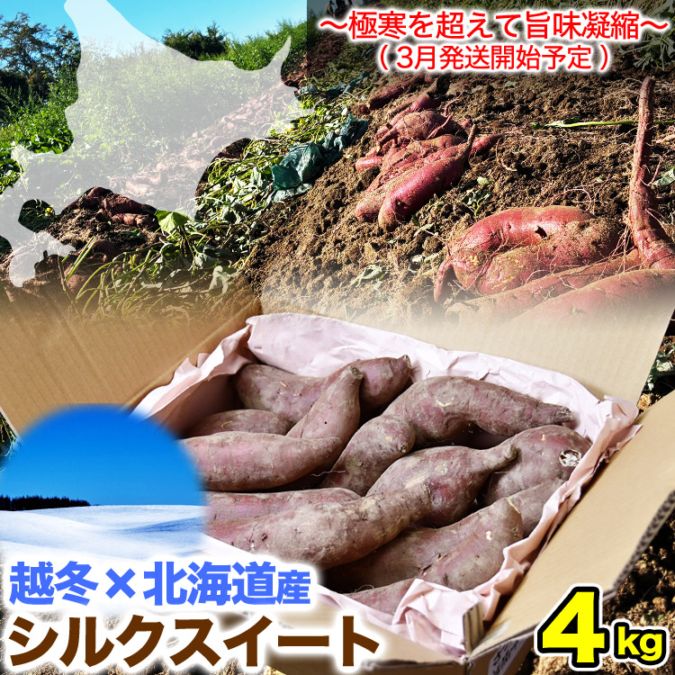 2026年3月より順次出荷】 シルクスイート 約4kg 越冬品 北海道産