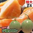 ��2026ǯ����ͽ������� ͼĥ����� ������ 2�̤���4kg��1�̤�������2kg�ˡΥ���� �̳�ƻ�� ����� ���� �櫓���� ��ͭ�ϡڤ��Ϥ��������Բ�̵���� ��2026ǯ7�����庢��ꤴ��ʸ���ȯ����