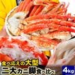 �����糪�ӥ��åȡ� ����Х��˵� ���磻���˵� ��������� 4kg ����(��2kg ����) ���٤� ���å� ����� ���磻 ����� ���襤 ���� �� ���� �� �޵Ӥ����������礬����ޤ�