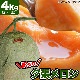 2025ǯͽͼĥ  4kg24 Υ ̳ƻ   櫓 ͭ ڤϤԲ̵ 2025ǯ7庢ꤴʸȯۡڶ̿Բġ