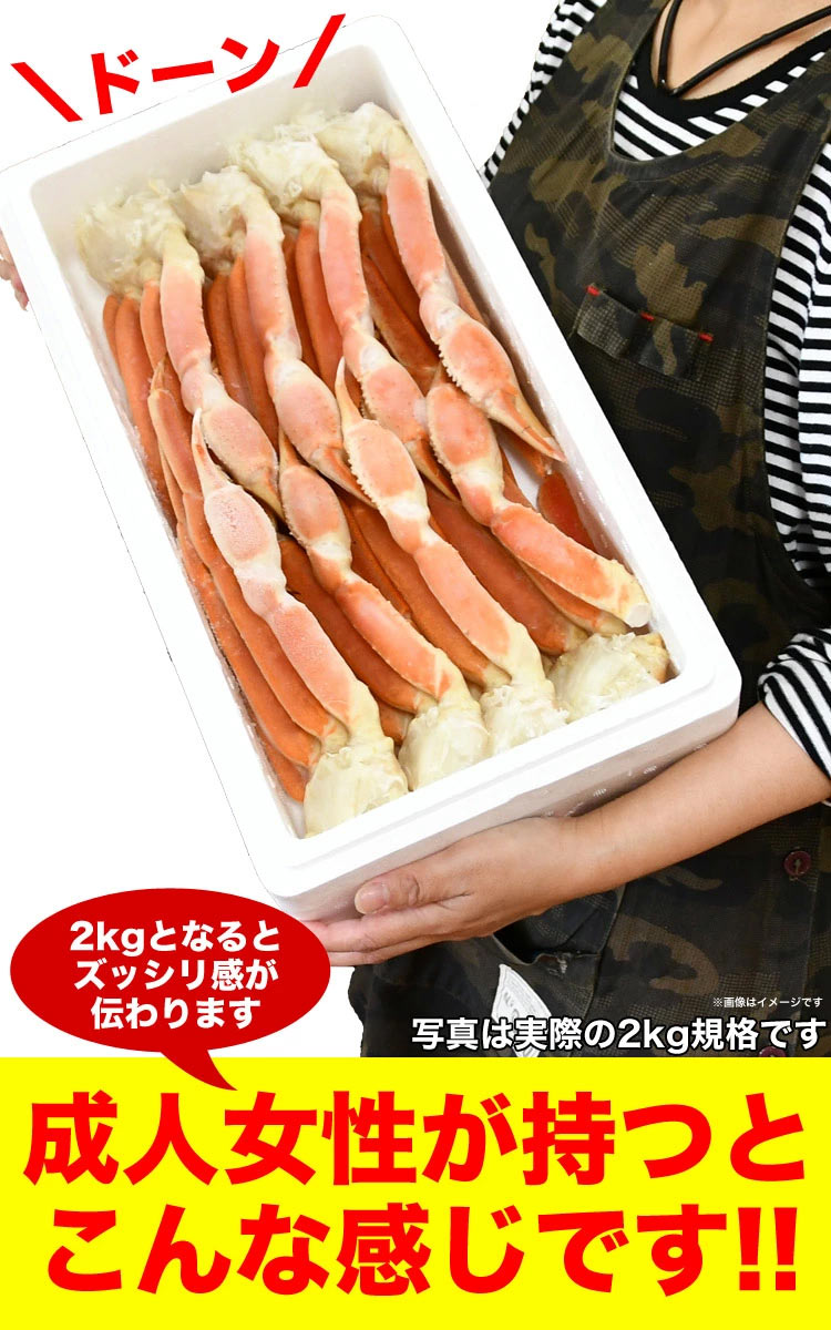 緿ۥ磻  2kg  56 襤 磻     ޵Ӥ礬ޤ