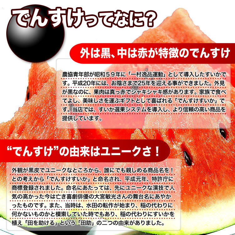 2025ǯͽ۽ Ǥ󤹤 6kg ǥ󥹥  2025ǯ7庢ʸ˽в][ϤԲ̵]