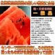 2025ǯͽ۽ Ǥ󤹤 6kg ǥ󥹥  2025ǯ7庢ʸ˽в][ϤԲ̵]