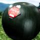 2025ǯͽ۽ Ǥ󤹤 6kg ǥ󥹥  2025ǯ7庢ʸ˽в][ϤԲ̵]