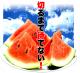 2025ǯͽ۽ Ǥ󤹤 6kg ǥ󥹥  2025ǯ7庢ʸ˽в][ϤԲ̵]