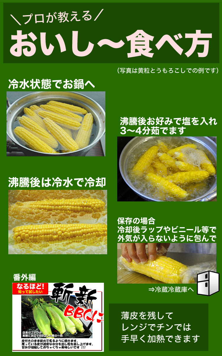 2025ǯͽۤȤ γ L2L10 ̳ƻ Ȥӡ ڤϤԲ̵ 2025ǯ8庢ꤴʸȯ