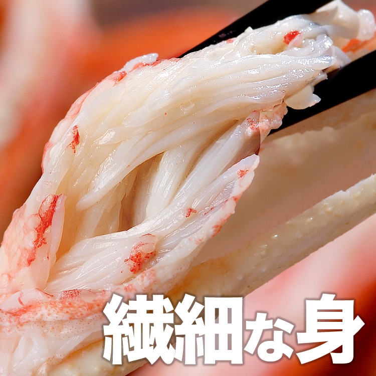 �ڤ����ѡۡ��緿�ۥ��磻���� �� ������ 6kg ���� �� 2kg 5��6�������3Ȣ�� ���襤 ���磻 ���� �� ���� �� �޵Ӥ����������礬����ޤ���2���ʾ夫����ʸ���˱������ޥ��դ���