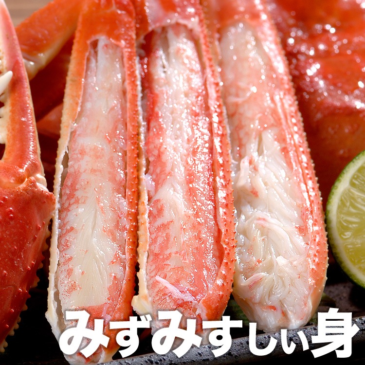 �ڤ����ѡۡ��緿�ۥ��磻���� �� ������ 6kg ���� �� 2kg 5��6�������3Ȣ�� ���襤 ���磻 ���� �� ���� �� �޵Ӥ����������礬����ޤ���2���ʾ夫����ʸ���˱������ޥ��դ���