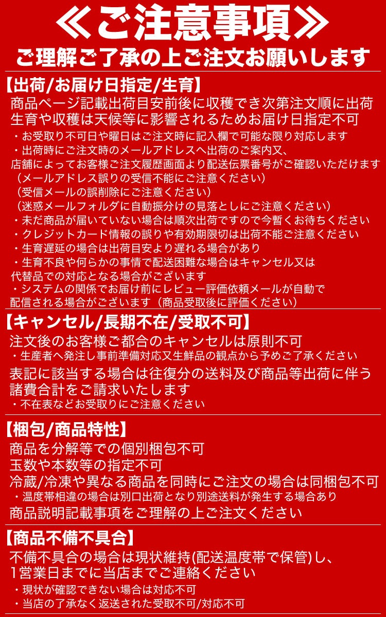 ��2026ǯ����ͽ��ۤȤ�������� ��γ L��2L��10�� ���̳�ƻ�� �Ȥ����ӡ� �ڤ��Ϥ��������Բ�̵���� ��2026ǯ8������庢��ꤴ��ʸ���ȯ����