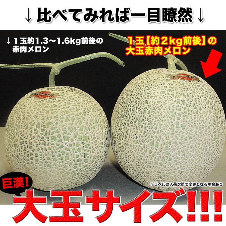 ��2026ǯ����ͽ������� �����������ȥ���� �̳�ƻ�� 2kg�����1�� �Τ����ϡڤ��Ϥ��������Բ�̵���ۡ�2026ǯ7���ܡ���������ꤴ��ʸ���ȯ����
