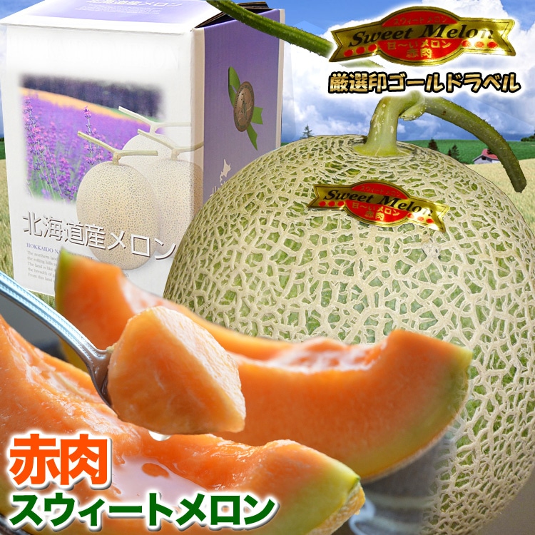 ��2026ǯ����ͽ����������������ȥ���� �̳�ƻ�� 1.3kg�����2�� �Τ����ϡڤ��Ϥ��������Բ�̵���ۡ�2026ǯ7���ܡ���������ꤴ��ʸ���ȯ����[ ���渵 ���渫�� ���ե� ���� ]