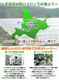 ��2026ǯ����ͽ����������������ȥ���� �̳�ƻ�� 1.3kg�����2�� �Τ����ϡڤ��Ϥ��������Բ�̵���ۡ�2026ǯ7���ܡ���������ꤴ��ʸ���ȯ����[ ���渵 ���渫�� ���ե� ���� ]