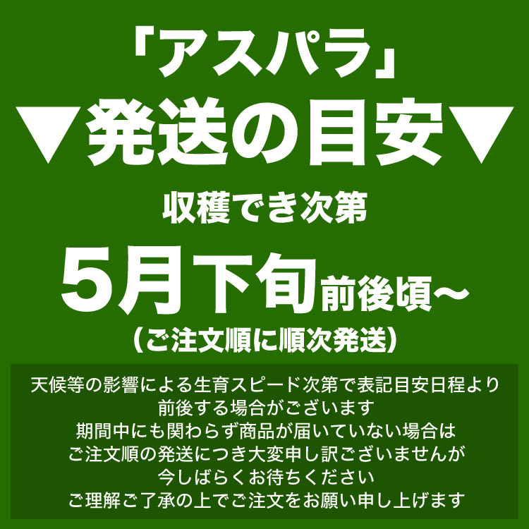 ��2026ǯ����ͽ��ۥ����ѥ� �̳�ƻ�� ������ ��1kg��SS��2L����� �Υ��꡼�󡡤����Ѥ顡�櫓���ꡡ��ͭ�� �ڤ��Ϥ��������Բ�̵���� ��2026ǯ5������庢��ꤴ��ʸ���ȯ����