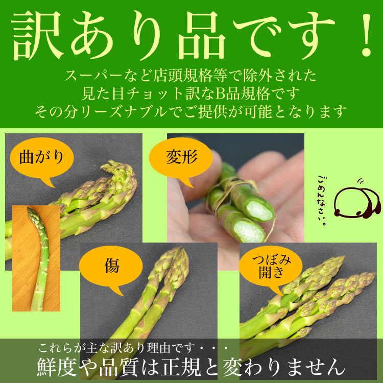 ��2026ǯ����ͽ��ۥ����ѥ� �̳�ƻ�� ������ ��1kg��SS��2L����� �Υ��꡼�󡡤����Ѥ顡�櫓���ꡡ��ͭ�� �ڤ��Ϥ��������Բ�̵���� ��2026ǯ5������庢��ꤴ��ʸ���ȯ����