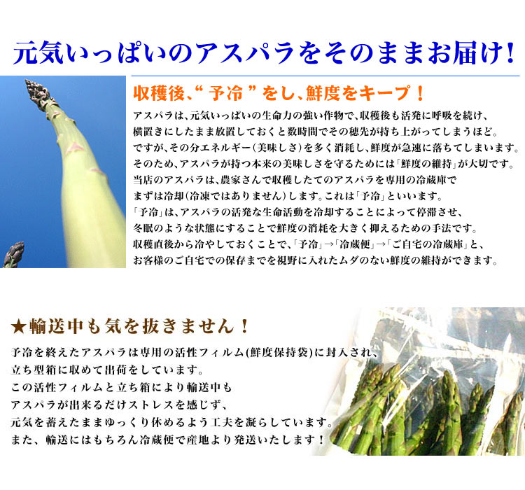 ��2026ǯ����ͽ��ۥ����ѥ� �̳�ƻ�� ������ ��1kg��SS��2L����� �Υ��꡼�󡡤����Ѥ顡�櫓���ꡡ��ͭ�� �ڤ��Ϥ��������Բ�̵���� ��2026ǯ5������庢��ꤴ��ʸ���ȯ����