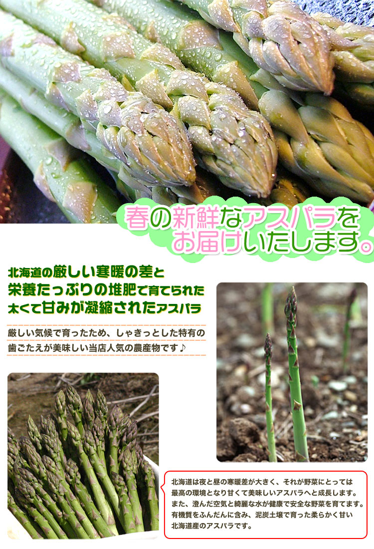 ��2026ǯ����ͽ��ۥ����ѥ� �̳�ƻ�� ������ ��1kg��SS��2L����� �Υ��꡼�󡡤����Ѥ顡�櫓���ꡡ��ͭ�� �ڤ��Ϥ��������Բ�̵���� ��2026ǯ5������庢��ꤴ��ʸ���ȯ����
