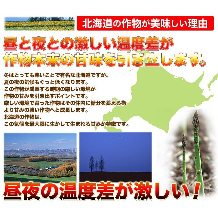 ��2026ǯ����ͽ��ۥ����ѥ� �̳�ƻ�� ������ ��1kg��SS��2L����� �Υ��꡼�󡡤����Ѥ顡�櫓���ꡡ��ͭ�� �ڤ��Ϥ��������Բ�̵���� ��2026ǯ5������庢��ꤴ��ʸ���ȯ����