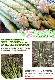 ��2026ǯ����ͽ��ۥ����ѥ� �̳�ƻ�� ������ ��1kg��SS��2L����� �Υ��꡼�󡡤����Ѥ顡�櫓���ꡡ��ͭ�� �ڤ��Ϥ��������Բ�̵���� ��2026ǯ5������庢��ꤴ��ʸ���ȯ����