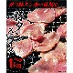 �ڥ���1kg�����饤����̣�դ�̵����������BBQ(3��4mm���饤��)