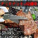 ڤ2mmˡ饤̣դ̵500gʰ޵ͤᡡξ BBQ С٥塼ϡ2İʾ夫ʸ˱ޥդ