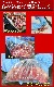 ڤ2mmˡ饤̣դ̵500gʰ޵ͤᡡξ BBQ С٥塼ϡ2İʾ夫ʸ˱ޥդ