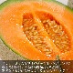 ��2026ǯ����ͽ���ͼĥ����� ������ ��8kg��4��8������ �Υ�����̳�ƻ����������������櫓���ꡡ��ͭ�ϡ��ڤ��Ϥ��������Բ�̵���ۡ���2026ǯ7�����庢��ꤴ��ʸ���ȯ���ۡڶ̿������Բġ�