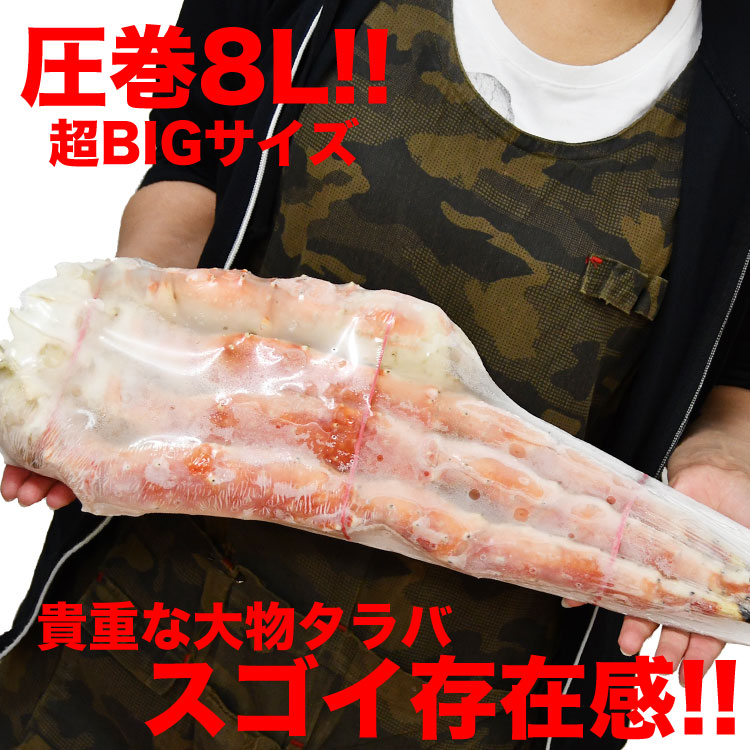  Ķ  8L ۡڤ2ĤޤǡۥХ   1.8kg  1 󥯥ѥå       ޵Ӥ礬ޤ