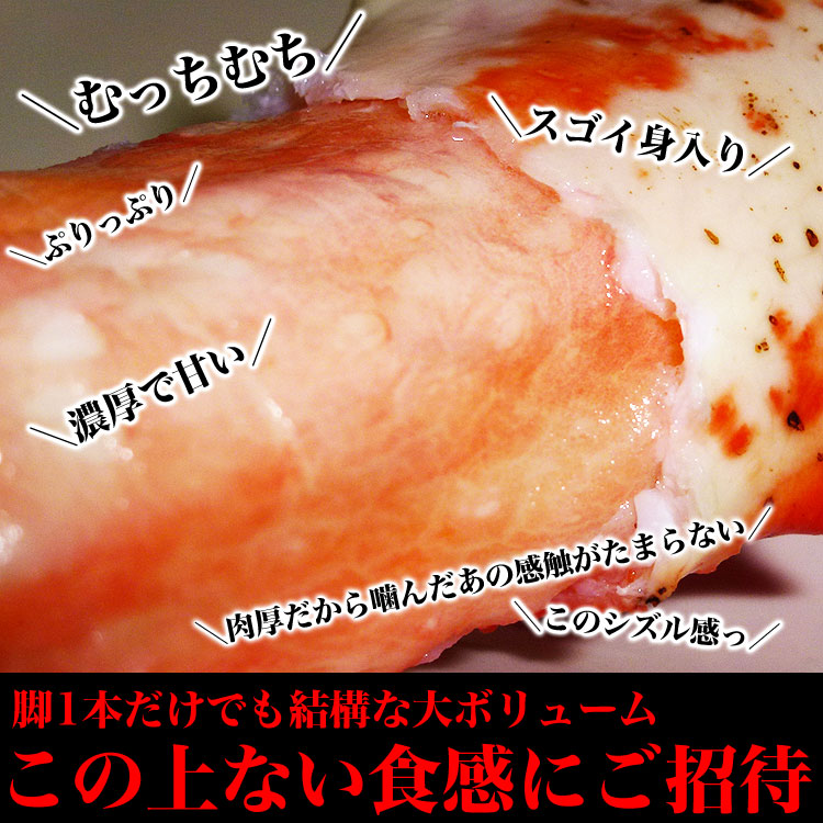  Ķ  8L ۡڤ2ĤޤǡۥХ   1.8kg  1 󥯥ѥå       ޵Ӥ礬ޤ