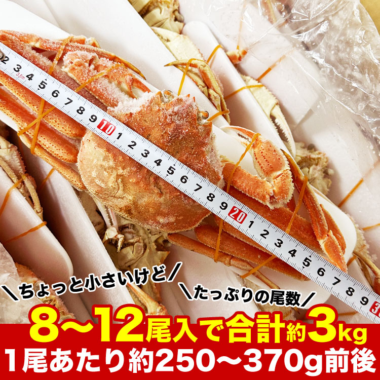�ں߸˸¤꡿�������2���ޤǡ��̳�ƻ�� ���� ���磻����  �� 8��12��������3kg���� (1����������250��370g) �������磻���� ���� �� ���� �ѡ��ƥ����ڤΤ��Բġ�
