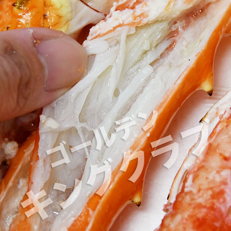 ڤ 4L 3  2.4kg ۡںǰͤĩ 2Ĥޤǡۥǥ󥭥󥰥 Х Τ褦      ­ Х饬 ޵Ӥ礢