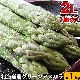 ��2026ǯ����ͽ��ۥ����ѥ� ����2L ��1kg �̳�ƻ���Υ��꡼�� �����Ѥ�� �ڤ��Ϥ��������Բ�̵���� ��2026ǯ5������庢��ꤴ��ʸ���ȯ����