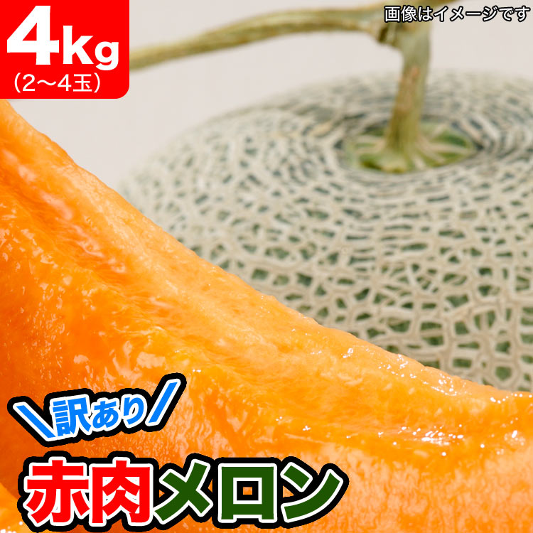 2025ǯͽۥ̳ƻ 4kg24 Τ 櫓 ͭ ڤϤԲ̵ 2025ǯ7庢ꤴʸȯۡڶ̿Բġ